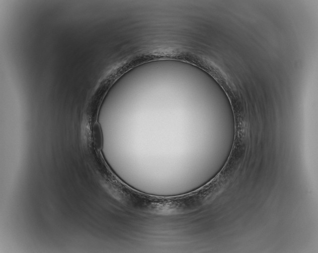 X0000116450688200912081414