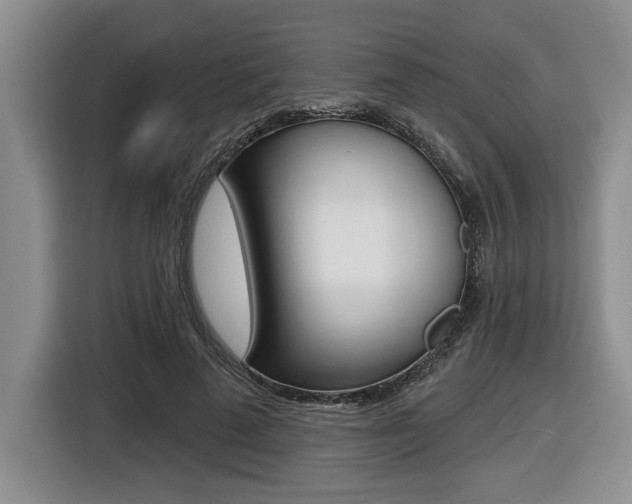 X0000116450689200912081414