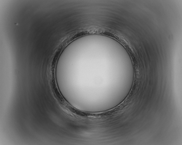 X0000116450690200912081414