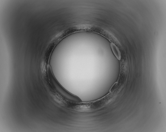 X0000116450692200912081414