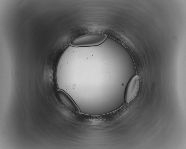 X0000116450693200912081414