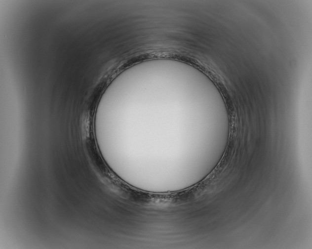 X0000116450694200912081414