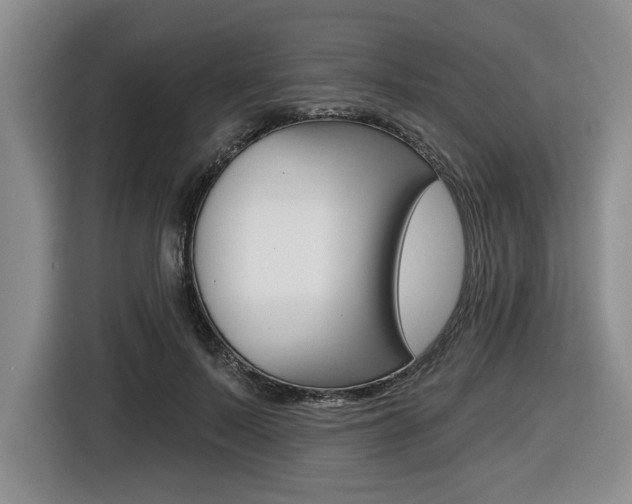 X0000116450695200912081414