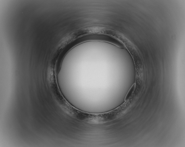 X0000116450696200912081414