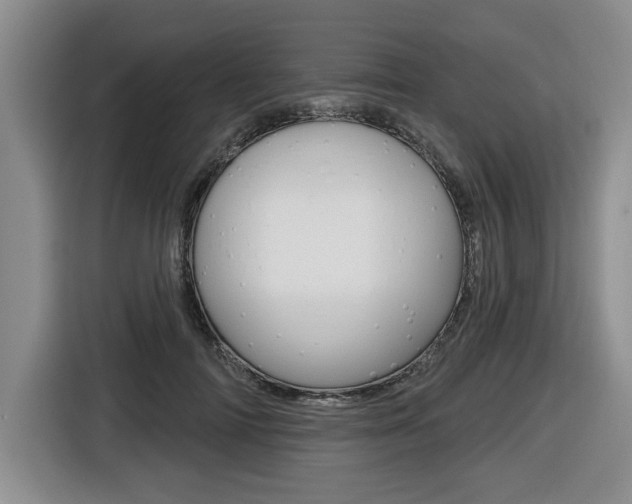 X0000116450698200912081414