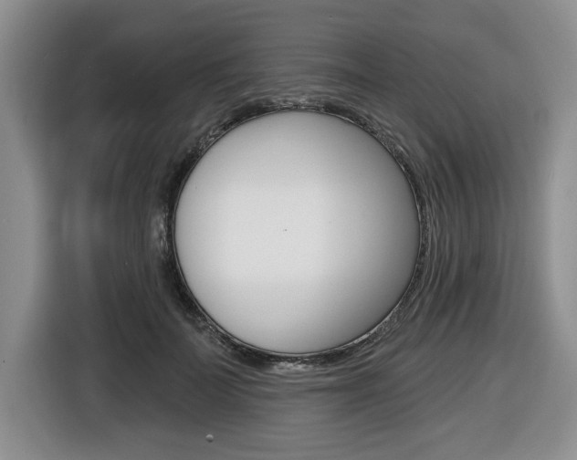 X0000116450699200912081414