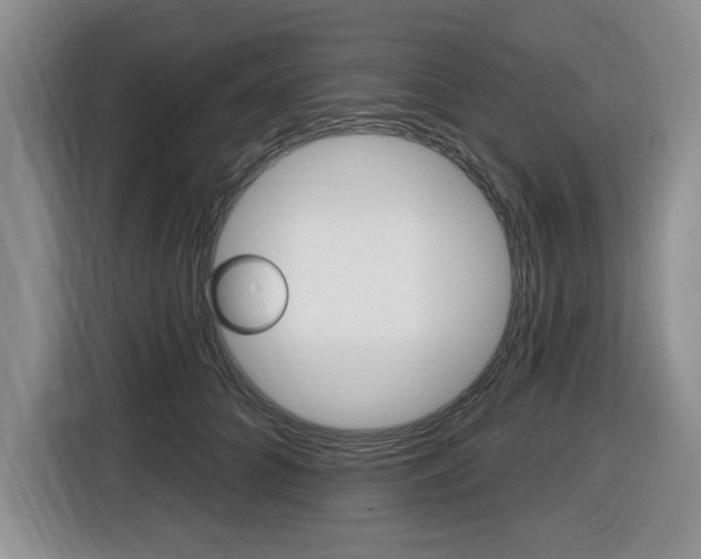 X0000116450704200912081414