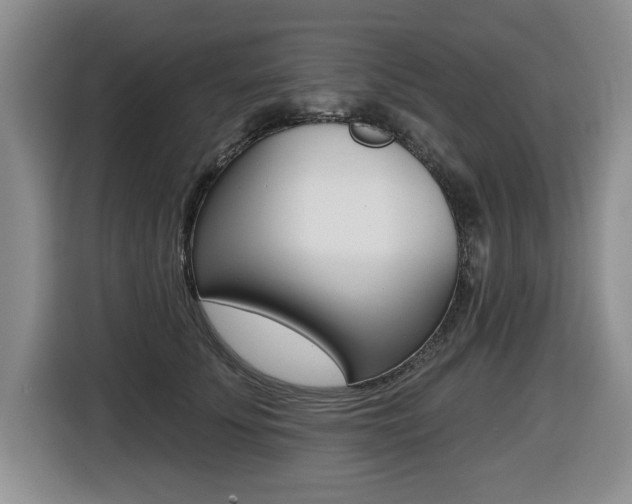 X0000116450707200912081414