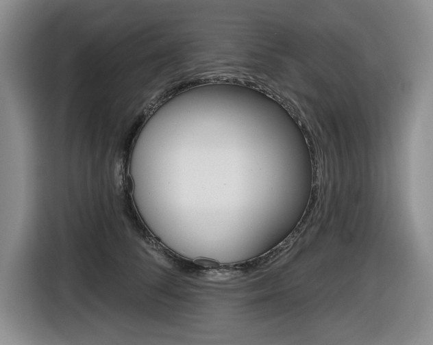 X0000116450708200912081414