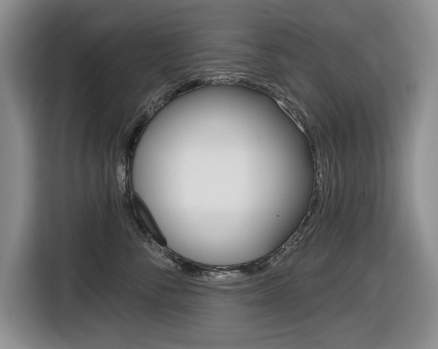 X0000116450716200912081414