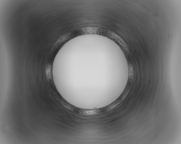 X0000116450717200912081414