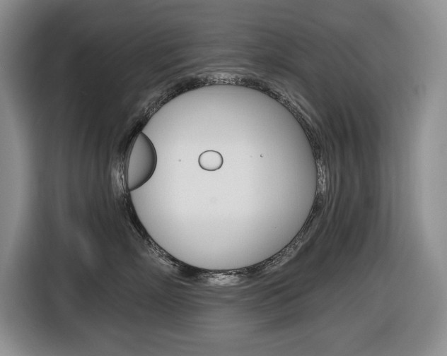 X0000116450718200912081414
