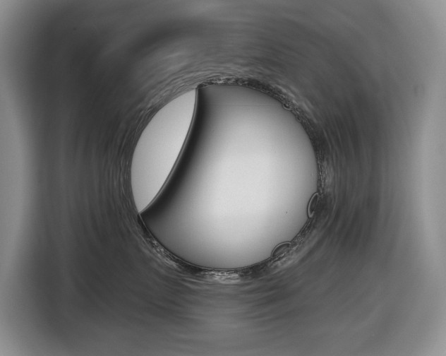 X0000116450719200912081414