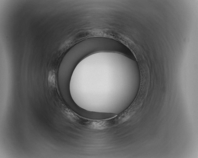 X0000116450720200912081414