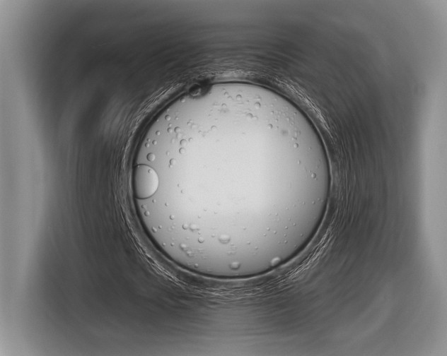 X0000116450721200912081413