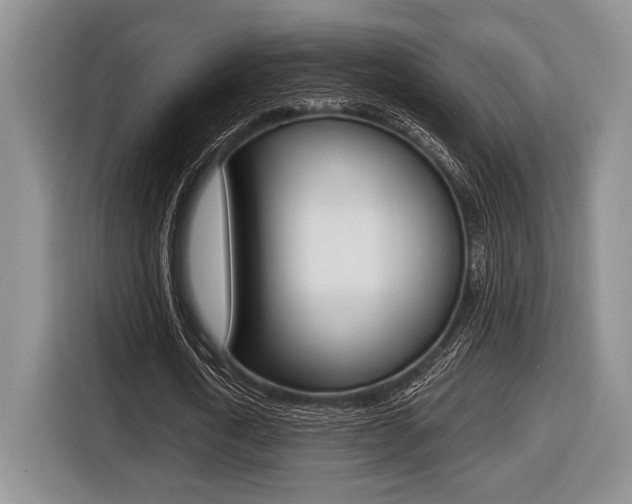 X0000116450722200912081413