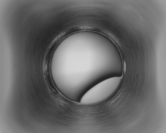 X0000116450723200912081413