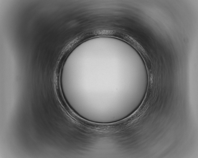 X0000116450725200912081413