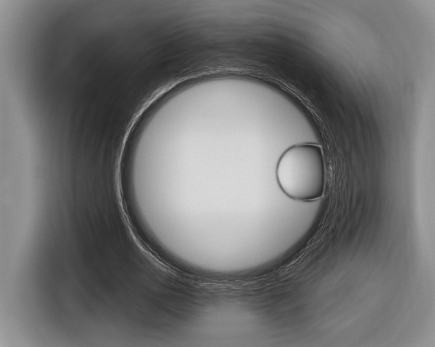 X0000116450726200912081413