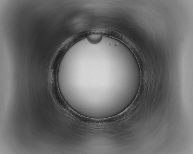 X0000116450731200912081413