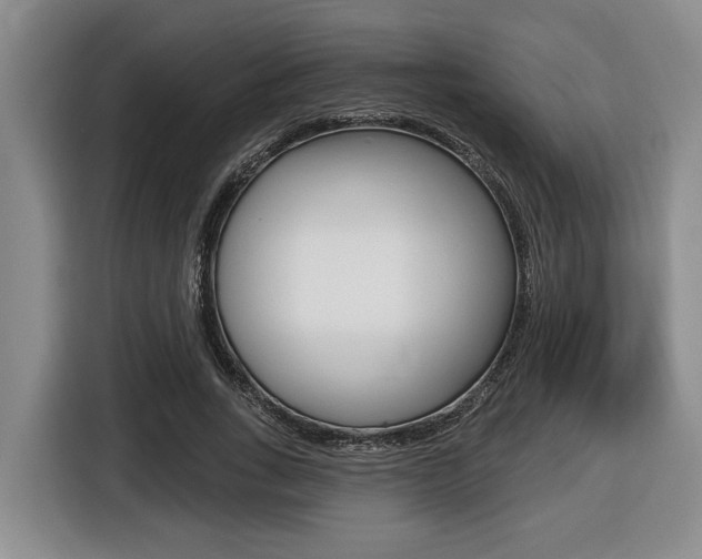 X0000116450735200912081413