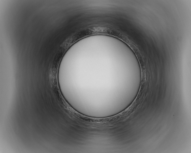 X0000116450737200912081413