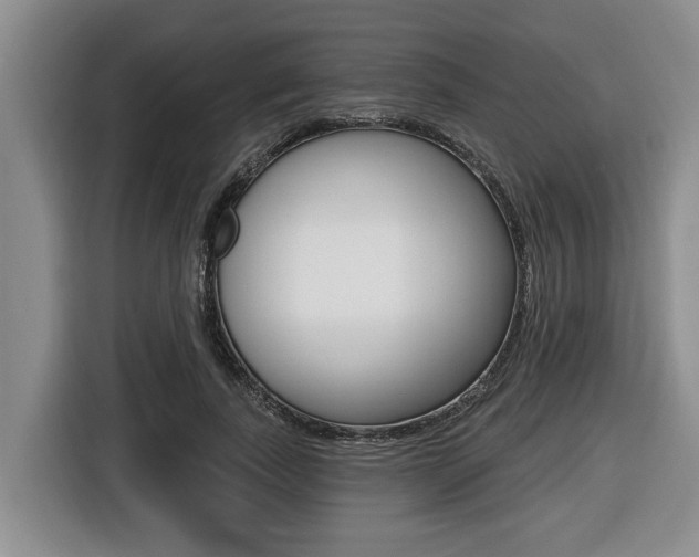 X0000116450739200912081413