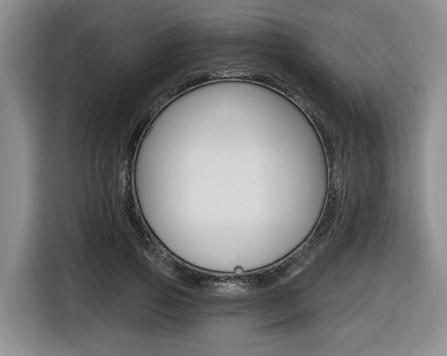 X0000116450741200912081413