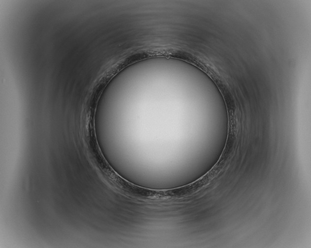 X0000116450742200912081413