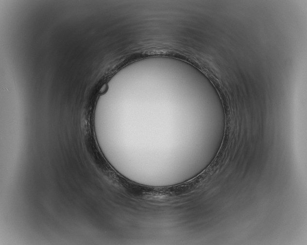 X0000116450743200912081414
