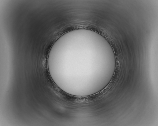 X0000116450745200912081414
