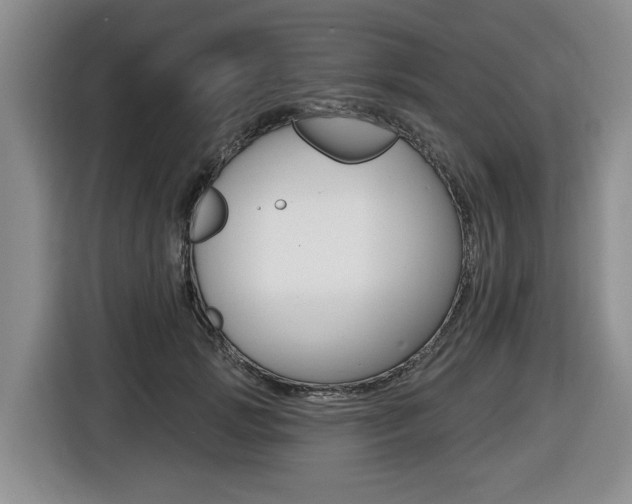 X0000116450749200912081414
