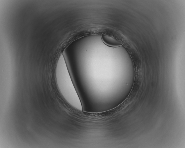 X0000116450750200912081414