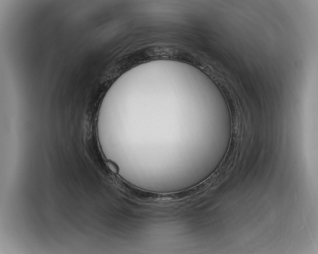 X0000116450751200912081414