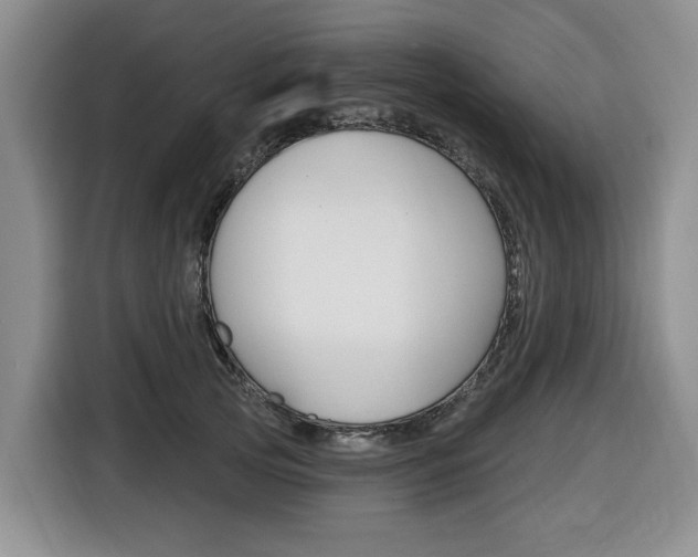 X0000116450753200912081414