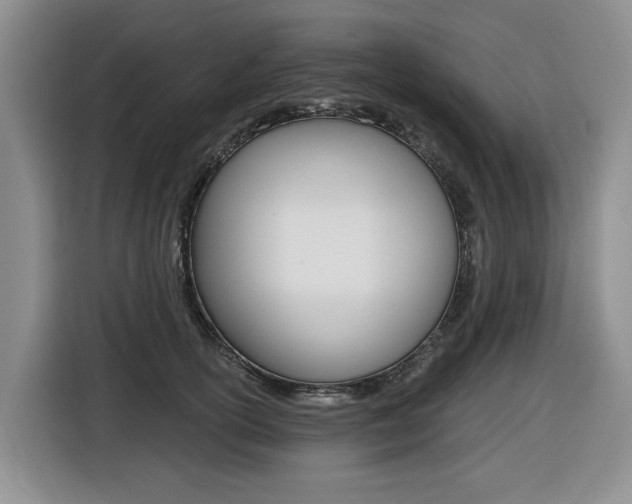 X0000116450754200912081414