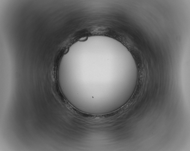 X0000116450755200912081414