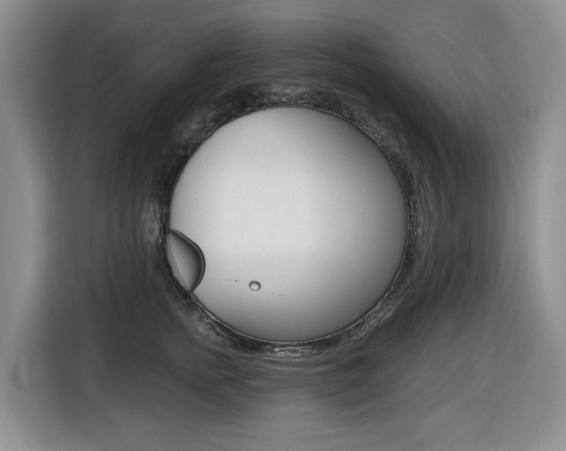 X0000116450758200912081414