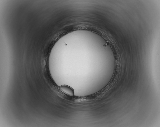 X0000116450759200912081414