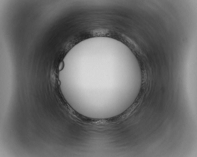X0000116450761200912081414