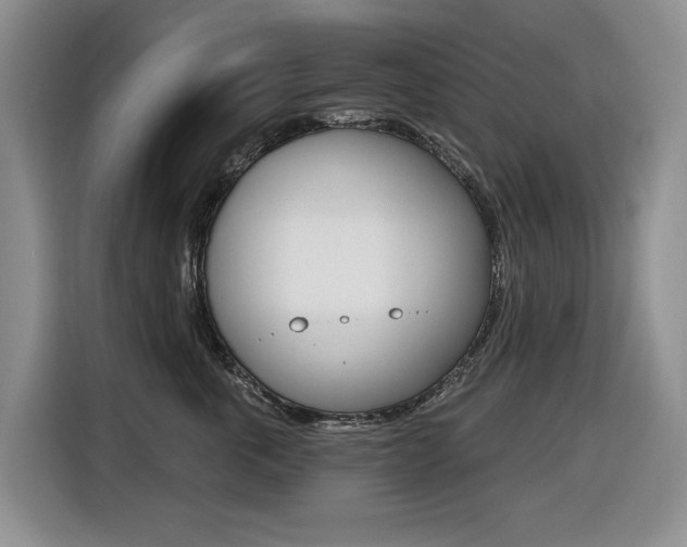 X0000116450763200912081414