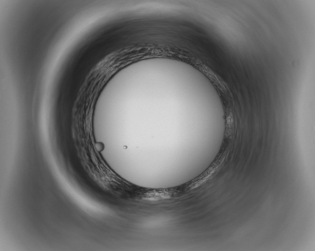 X0000116450765200912081414