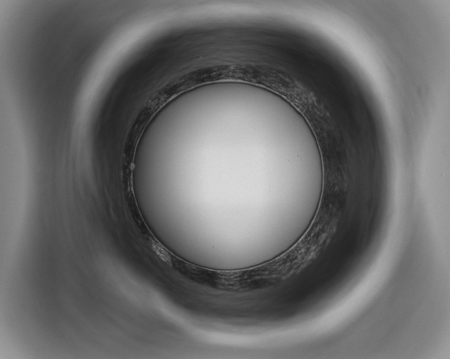 X0000116450766200912081414