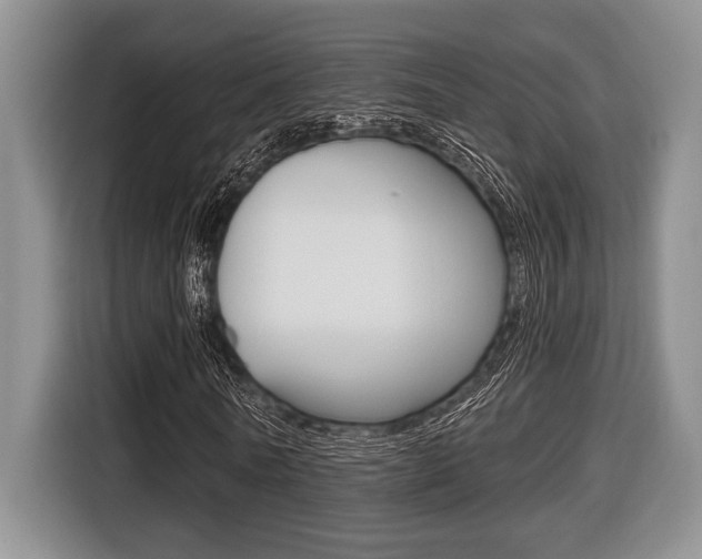 X0000116450770200912081413