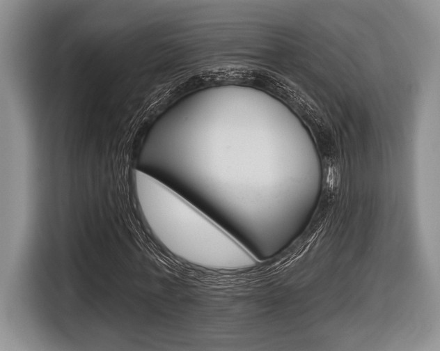 X0000116450771200912081413