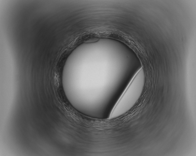 X0000116450772200912081413