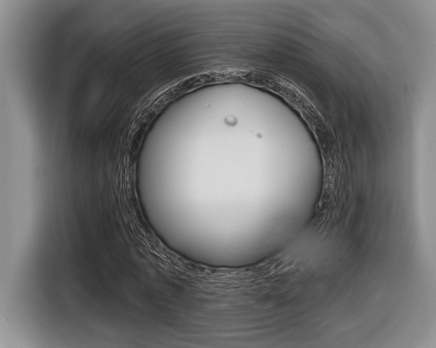 X0000116450773200912081413