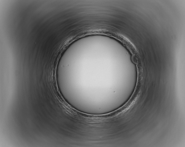 X0000116450777200912081413