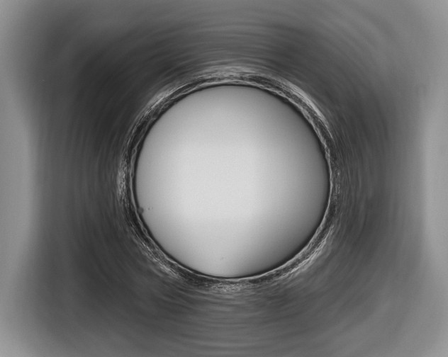 X0000116450778200912081413
