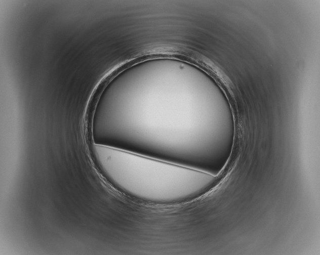 X0000116450779200912081413